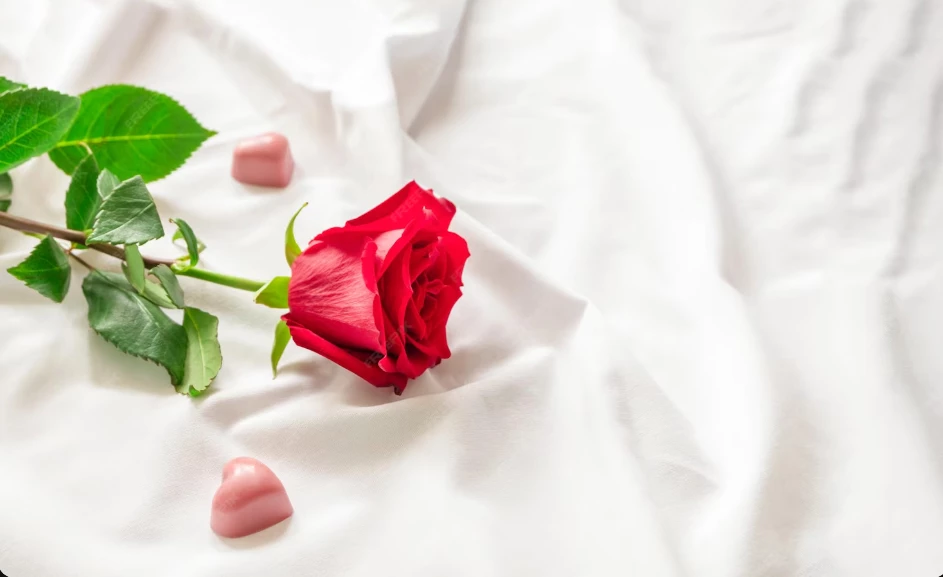 Romantisch Valentijnsverblijf in Izegem – Luxe B&B met privé wellness & culinair restaurant